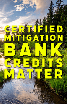 Don’t Settle for Less than Certified Mitigation Bank Credits